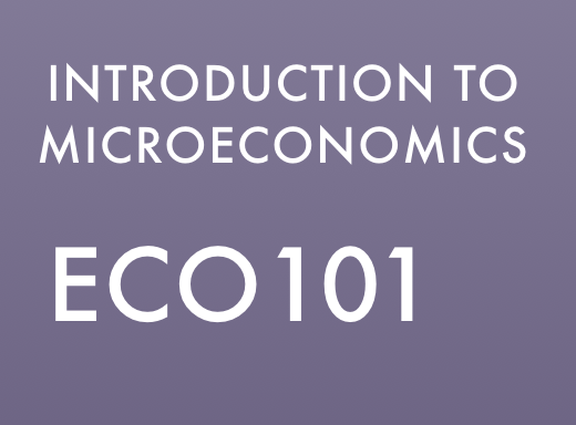 Introduction to Microeconomics (ESS) ECO201