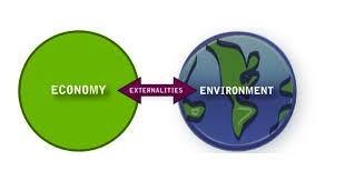 Environmental and Resource Economics ECO313