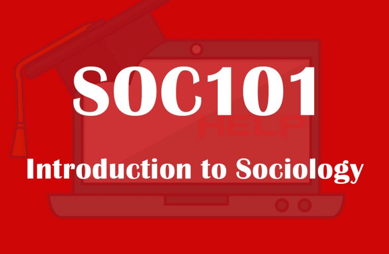 Introduction to Sociology SOC101